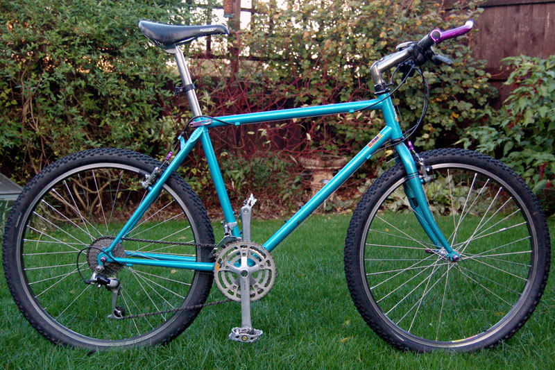 raleigh peak mountain bike
